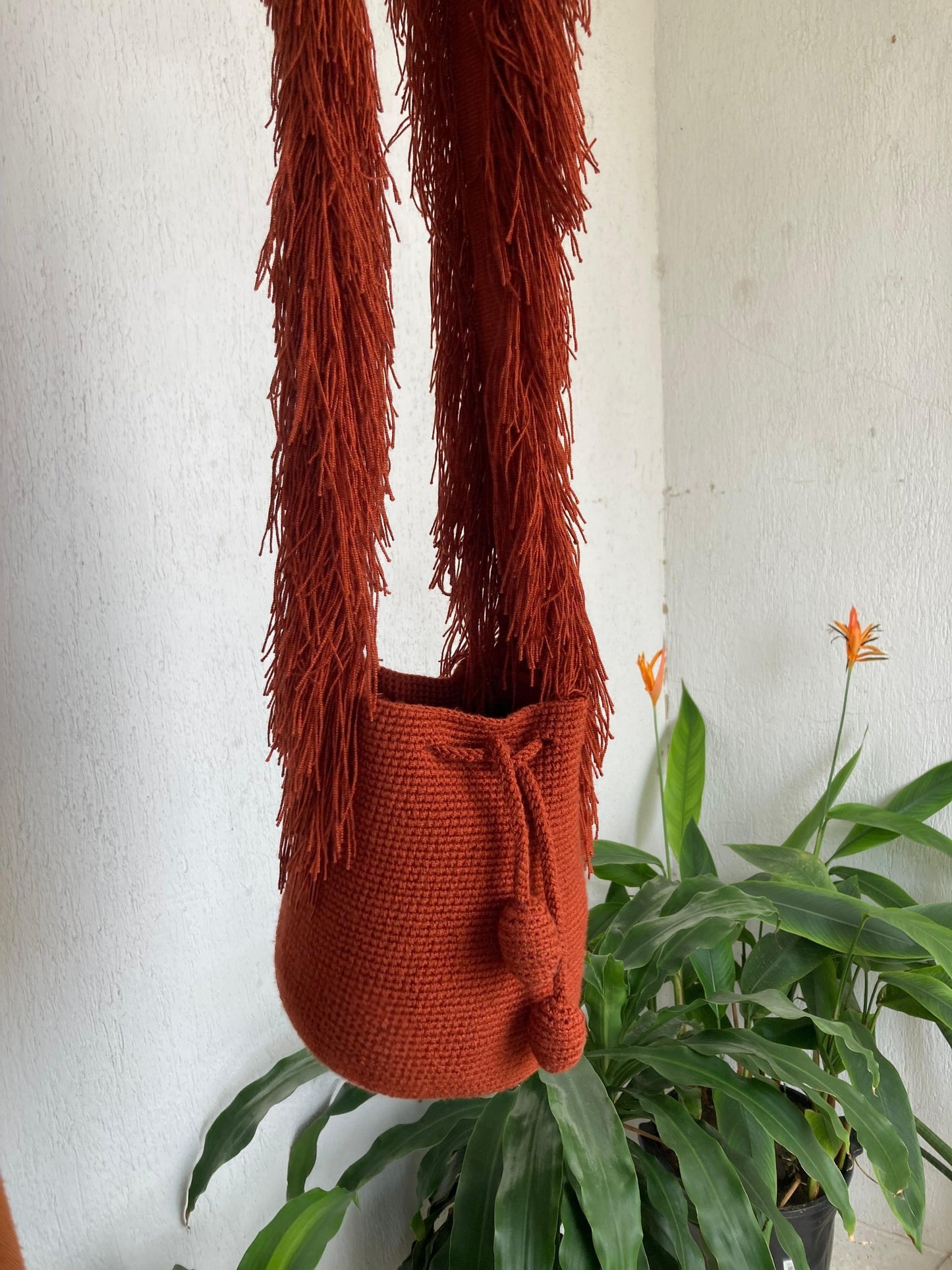 La Frida - Pre Sale Ships November 4