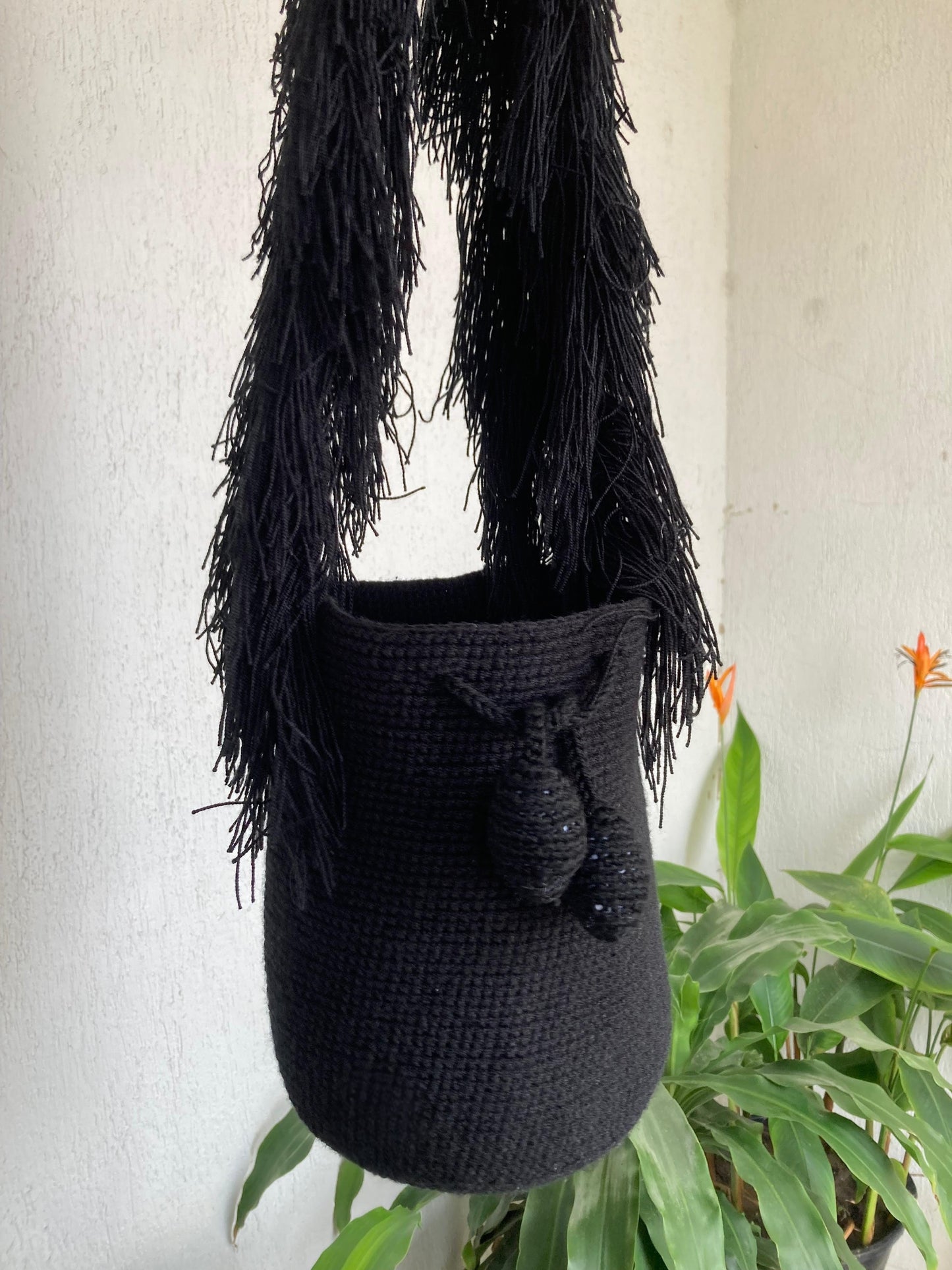 La Frida - Pre Sale Ships November 4