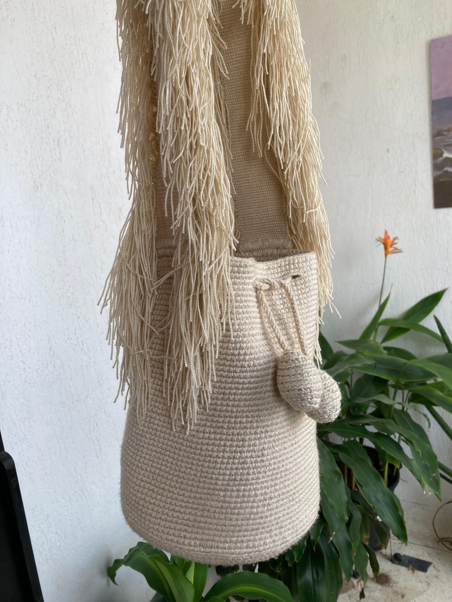 La Frida - Pre Sale Ships November 4